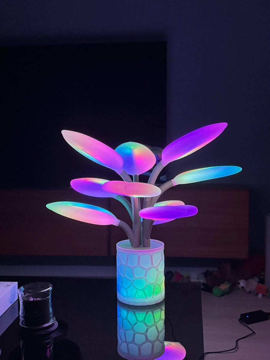 Lampe Orbiflora