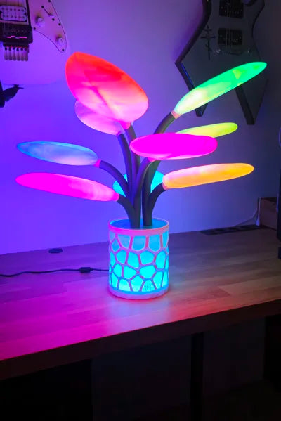Lampe Orbiflora
